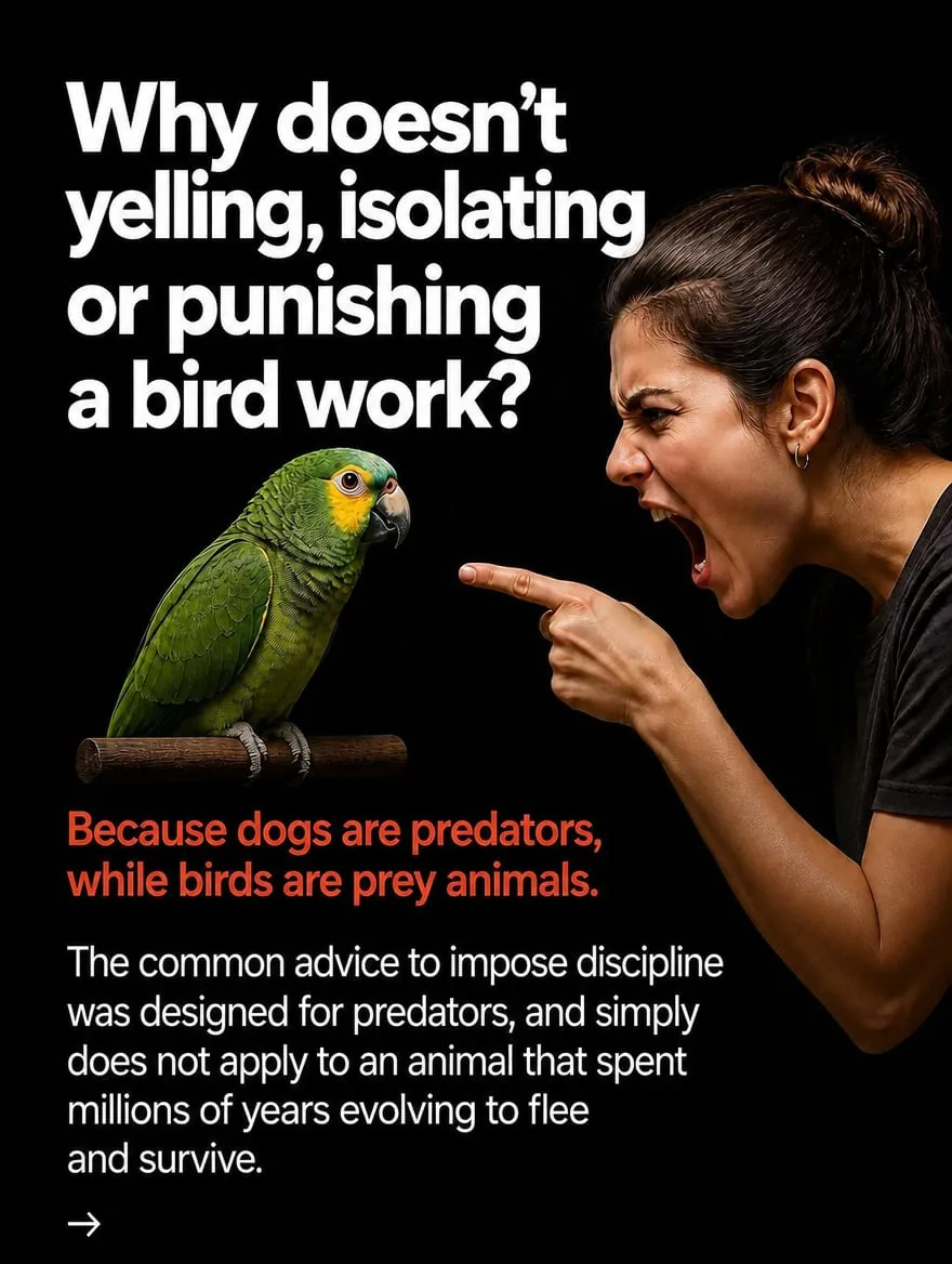 How to discipline the bird that bites and screams — slide 3 of 9